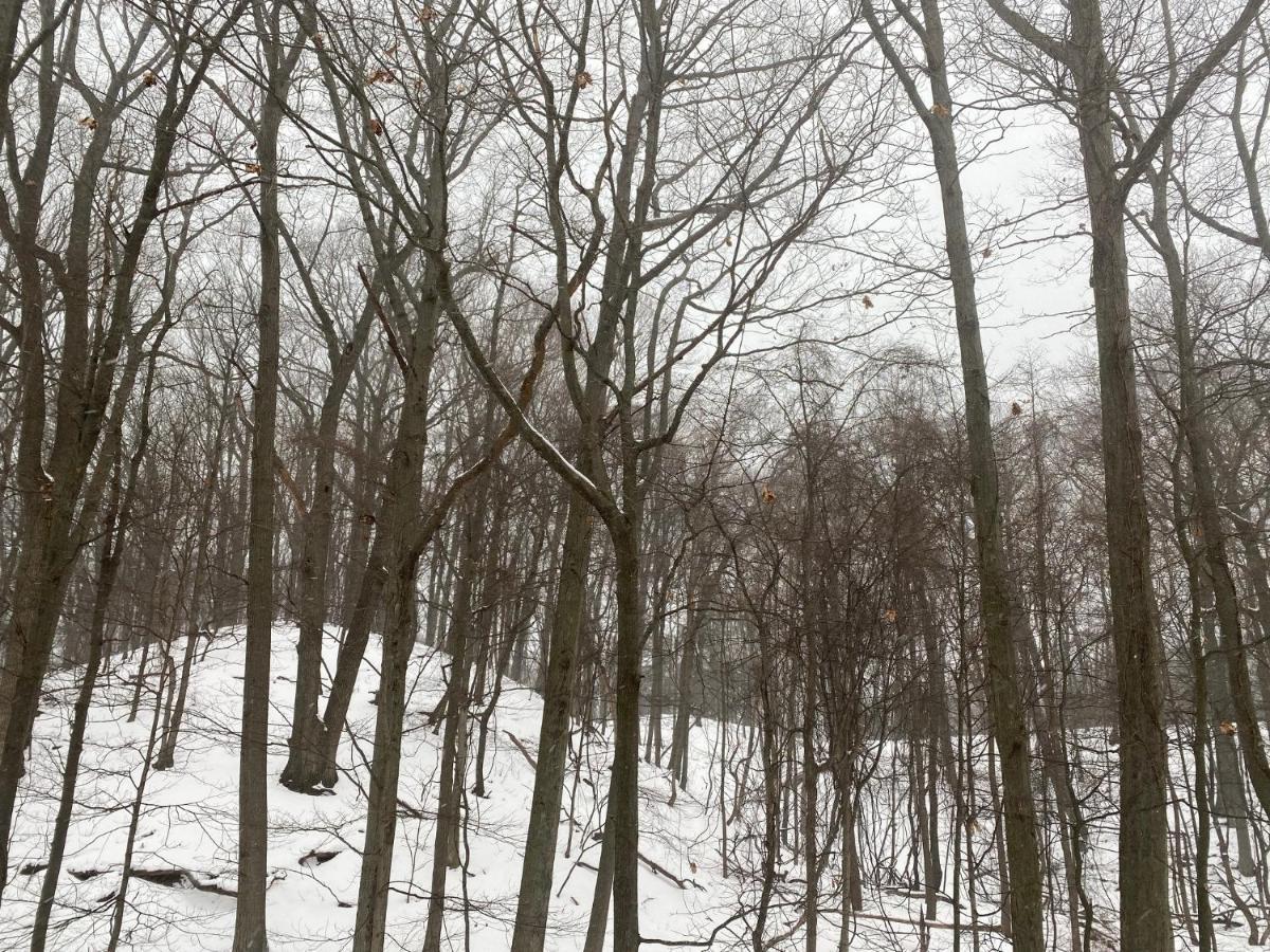 The Sanctuary At Deer Dune , Saugatuck Exterior foto